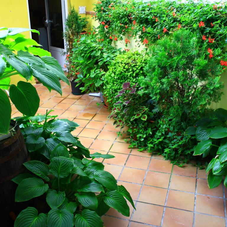 Hostal Escartin Sabiñánigo Eksteriør billede