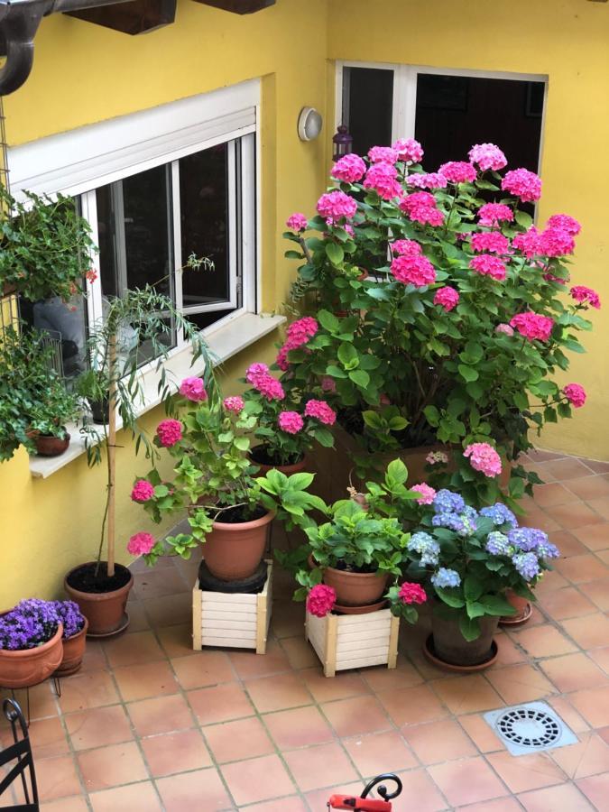 Hostal Escartin Sabiñánigo Eksteriør billede